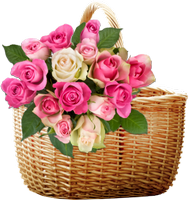 a basket of pink roses